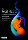 The Fetal Matrix: Evolution, Development and Disease