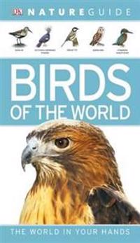 Nature Guide Birds of the World