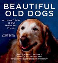 Beautiful old dogs