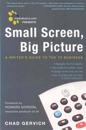 Mediabistro.com Presents Small Screen, Big Picture