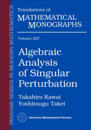 Algebraic Analysis of Singular Perturbation Theory