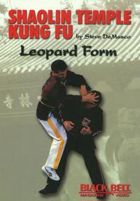 Shaolin Temple Kung Fu