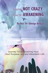 You're Not Crazy, You're Awakening: Journey to Dicovering Your Soul Purpose, Joy, and Abundant Life