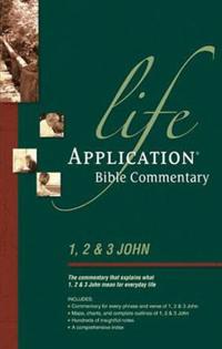Life Application Bible Commentary