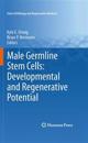 Male Germline Stem Cells: Developmental and Regenerative Potential
