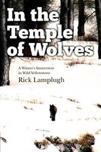 In the Temple of Wolves: A Winter's Immersion in Wild Yellowstone