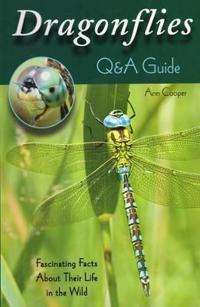 Dragonflies: Q&A Guide: Fascinating Facts about Their Life in the Wild