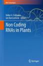 Non Coding RNAs in Plants