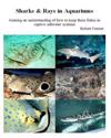Sharks & Rays in Aquariums: Gaining an Understanding of How to Keep These Fishes in Captive Saltwater Systems
