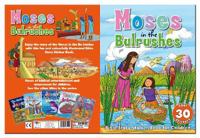 Bible Sticker Book - Moses in the Bullrushes