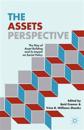 The Assets Perspective