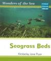 Wonders of the Sea Seagrass Beds Macmillan Library