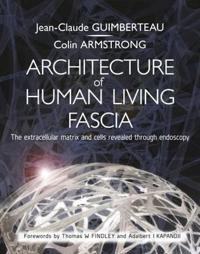 Architecture of Human Living Fascia
