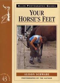 Your Horses Feet