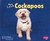 You'll Love Cockapoos