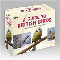 A Guide to British Birds
