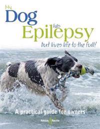 My Dog Has Epilepsy - but lives life to the full!