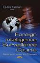 Foreign Intelligence Surveillance Courts