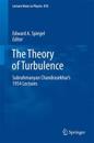 The Theory of Turbulence