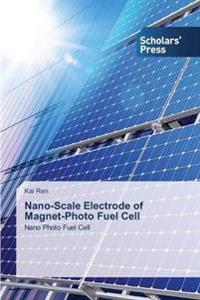 Nano-Scale Electrode of Magnet-Photo Fuel Cell