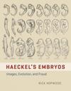 HAECKEL'S EMBRYOS - IMAGES, EVOLUTION, AND FRAUD