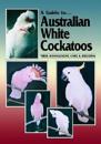 Australian White Cockatoos
