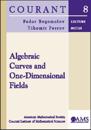 Algebraic Curves and One-dimensional Fields