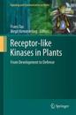 Receptor-like Kinases in Plants