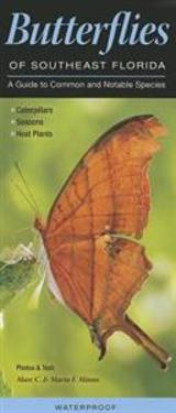 Butterflies of Southeast Florida: A Guide to Common & Notable Species