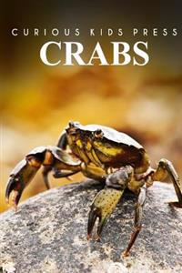 Crabs - Curious Kids Press: Kids Book about Animals and Wildlife, Children's Books 4-6