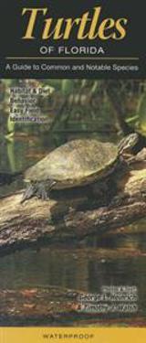Turtles of Florida: A Guide to Common & Notable Species