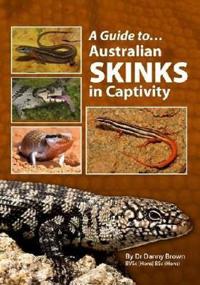 A Guide To Australian Skinks In Captivity