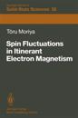 Spin Fluctuations in Itinerant Electron Magnetism