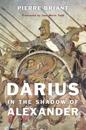 Darius in the Shadow of Alexander