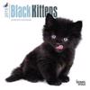Black Kittens 18-Month 2015 Calendar