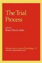The Trial Process