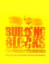 Building Blocks for Primary Prevention: Protecting Children from Lead-Based Paint Hazards