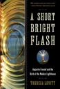 A Short Bright Flash