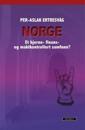 Norge: et hjerne- finans- og maktkontrollert samfunn?