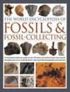 World Encyclopedia of Fossils & Fossil-collecting