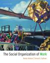 The Social Organization of Work