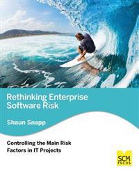 Rethinking Enterprise Software Risk: Controlling the Main Risk Factors on It Projects