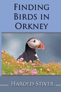 Finding Birds in Orkney