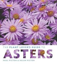 The Plant Lover's Guide to Asters