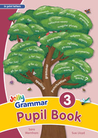 Grammar 3 Pupil Book (In Print Letters)