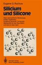 Silicium und Silicone