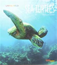 Living Wild: Sea Turtles