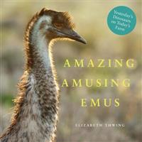 Amazing Amusing Emus: Yesterday's Dinosaurs on Today's Farm