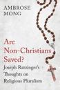 Are Non-Christians Saved?