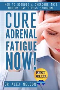 Cure Adrenal Fatigue Now!: How to Diagnose & Overcome This Modern Day Stress Syndrome
